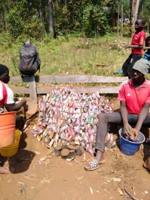 Youth Development Organization-Yodo Cameroon Collects and Re-uses plastic waste to grow trees + engages youth in climate change, SDGs + sustainable peace