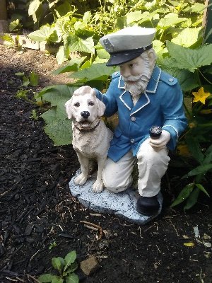 1GardenSolution's profile picture. We provide solutions, tips and resources to help make gardening easy and enjoyable to new gardeners.  Join us for fun DIY projects and adventures in the garden.