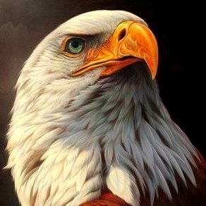 Médico Veterinario Zootecnista, egresado de la UaeMex. Amante de la fauna silvestre; Senderismo; Fotografía y luchador por la igualdad y el bienestar social.