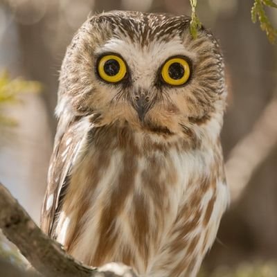 Loan_DM's profile picture. 👩🏻‍💻🕵🏻‍♀️🧟🚀✈️