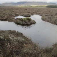 PeAT Lakes Project (@peat_lakes) 's Twitter Profile Photo