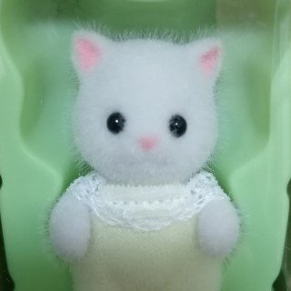 mainmow's profile picture. 渉です　すきによんでくれや
成人オタク