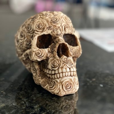 JerryZapata13's profile picture. Just another brain and spine wearing a meat suit