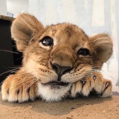 mariela74651530's profile picture. Soy simple y natural. Solo se necesita eso para ser feliz. Nada externo!