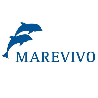 MarevivoETS Profile Picture