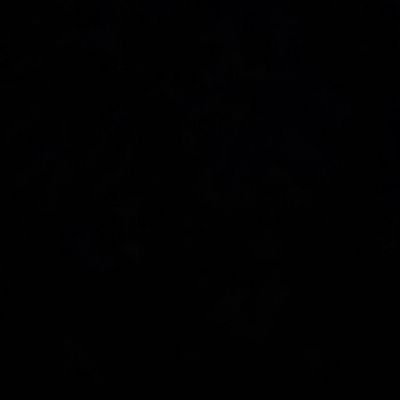 jackson_lakay's profile picture. Bitcoin