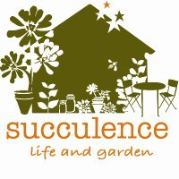 Succulence (@thesucculence) Twitter profile photo