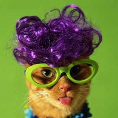 Retired SLP; Soccer⚽️; Reader📚; ⭐️; SF🧡🖤; Won’t take the BS from liars and crooks🚫; LGBTQ Ally; Will never forgive trump supporters.