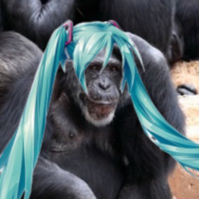 miku_monkey's profile picture. vocaloid