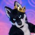 ✨ 👑 Prince Eclipse 👑✨ (@EclipseTheHusky) Twitter profile photo