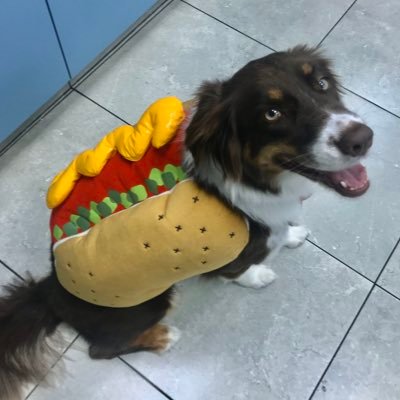 lindsaybinks1's profile picture. Just a girl in Hotlanta looking for a hotdog.