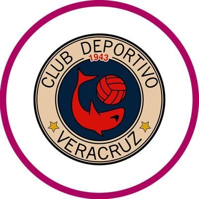 Cuenta oficial de @ClubTiburones Femenil • #PorTiSeré 🦈