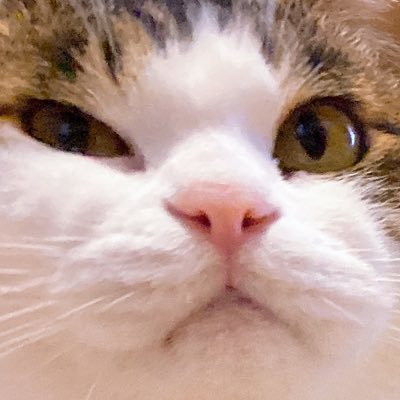 CaramelTea39's profile picture. OUAVM*D3