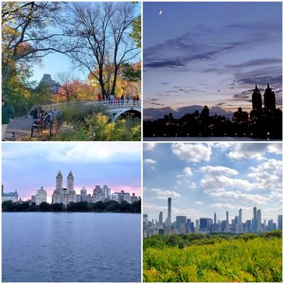 Central Park Daily. Send Central Park Photos & thoughts & I'll re-tweet or post: NO stock shots or old photos from your files. I only post photos of the day.