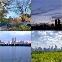 CentralParkMoments(@My_Cen_ParkNYC) 's Twitter Profile Photo