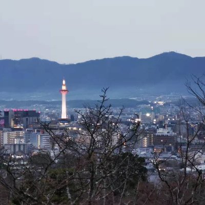 Wector18's profile picture. bioinformatics
DNA damage
DNA repair
genomics
RNA-seq
multi-omics data
data analysis
machine learning