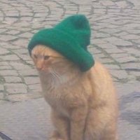 rahip Moro (@insanolmakguzel) 's Twitter Profile