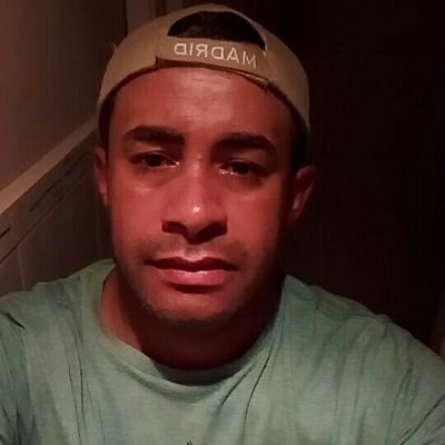 Reinald74340992's profile picture. gato