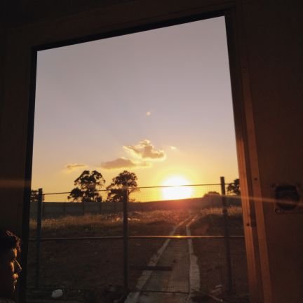 Fotosdeandrew's profile picture. 