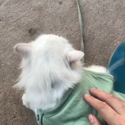 kkkooppaas's profile picture. 