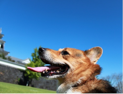 hyuganathu11111's profile picture. http://t.co/cYRoiHh1☜（クリック）