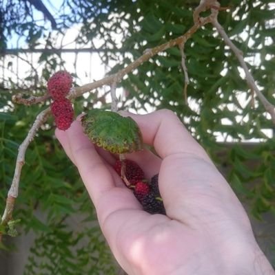 farhad863's profile picture. 