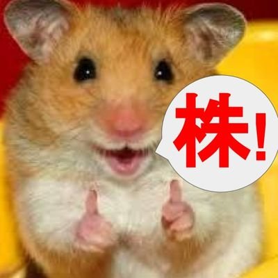 日米株と不動産ばっかやってる25歳のやつ。
米ハイテク銘柄を中心に長期投資やってます！
【金の為に自分が働くのではなく、自分の為に金が働くべき】って価値観です。
注目銘柄(良品計画とMSFT)の呟きが多いです。
ブログ（https://t.co/raYfQb9jwp）で銘柄分析。
youtubeで優良銘柄紹介↓