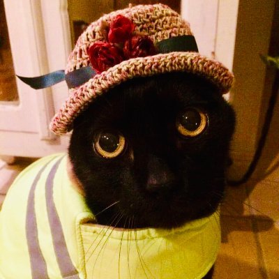 wavy_sine's profile picture. M.Phil graduate from The University of Queensland. Perception Lab. Also: https://t.co/XW5C9SRcC3
