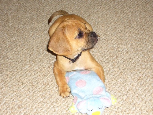 dxcontre's profile picture. 