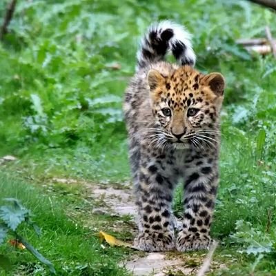 Israil76397378's profile picture. vjbsbjbvbj