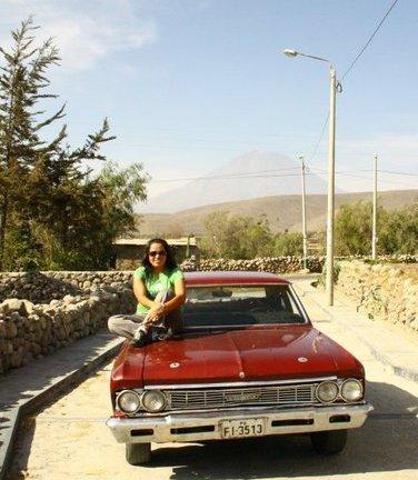 mancarpe's profile picture. 