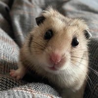 まきのすけ (@7_makkyu) 's Twitter Profile