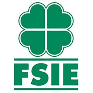 FSIE🍀