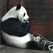 tx_ogaken Profile Picture