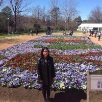 Di Seva (@di02172010) 's Twitter Profile
