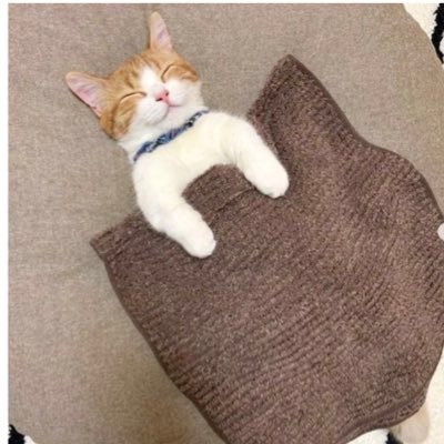 I6TVTDML5UDRCTh's profile picture. 