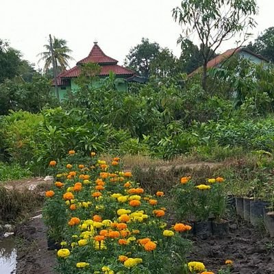 nursamsi28's profile picture. Adab mu Nasib mu