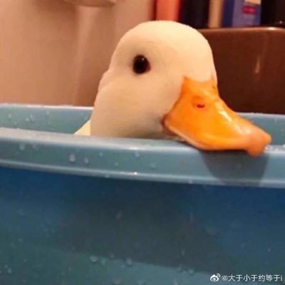 오리🐤さんのプロフィール画像