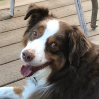 tobymmm (@tobymmm) 's Twitter Profile