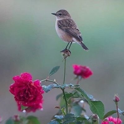 Totally lost for ever ضائع في المكان والزمان... فقط افضفض مشاعري بصدق وعفويه