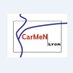 Laboratoire CarMeN (@carmen_lab_lyon) Twitter profile photo Laboratoire CarMeN (@carmen_lab_lyon) Twitter profile photo