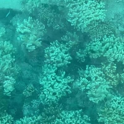 Catamar15's profile picture. 