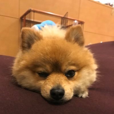 isamu_kai's profile picture. 