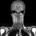 Aberdeen Biomedical Imaging Centre (@ABIC_UoA) Twitter profile photo