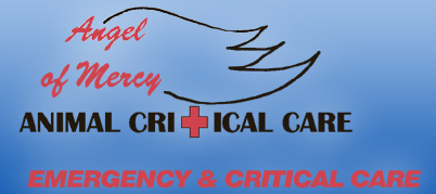 AngelAnimalCrit's profile picture. Angel of Mercy Animal Critical Care provides high quality veterinary care for patients that need emergency and routine services in San Antonio, TX.