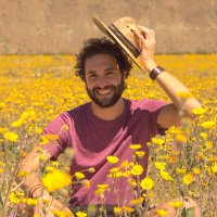 Simone Tosi (@simo_tosi) 's Twitter Profile