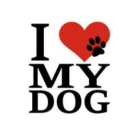 I Love Dogs(@ILoveDo88162325) 's Twitter Profile Photo