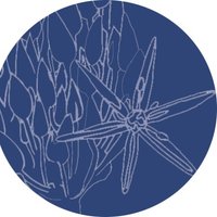 🪴Camilla Grayley Garden Design (@camillagrayley) 's Twitter Profile Photo 🪴Camilla Grayley Garden Design (@camillagrayley) 's Twitter Profile Photo