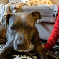 Megan Allyn (@meganallyn2) 's Twitter Profile