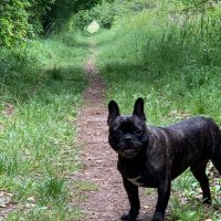 mike atthis (@atthismike) 's Twitter Profile